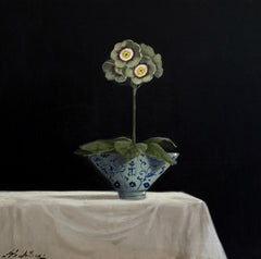 Auricula - Miss Morisot